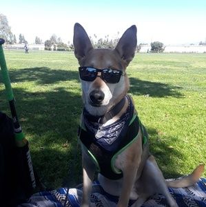 Meet your Posher, Travis